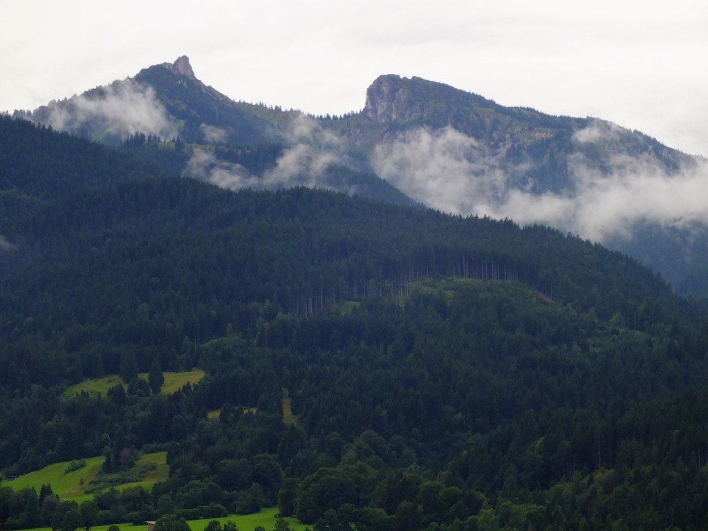 DSCF7371.jpg
