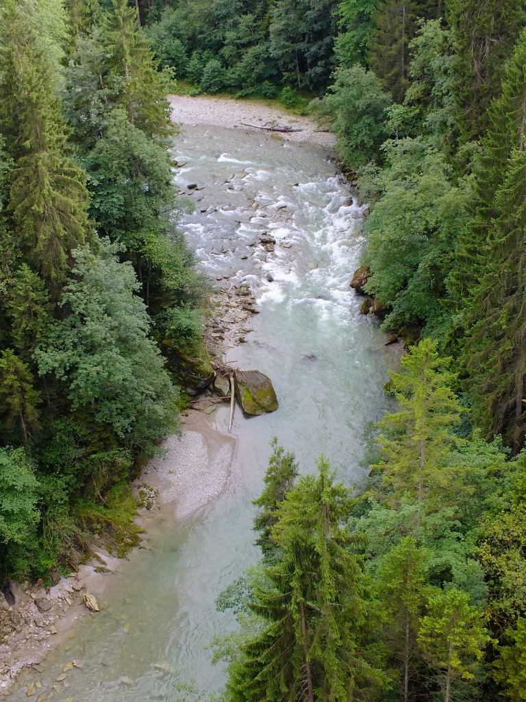 DSCF7410.jpg