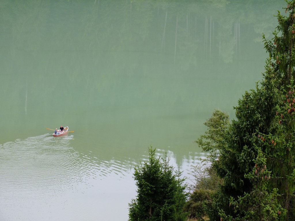 DSCF7413.jpg