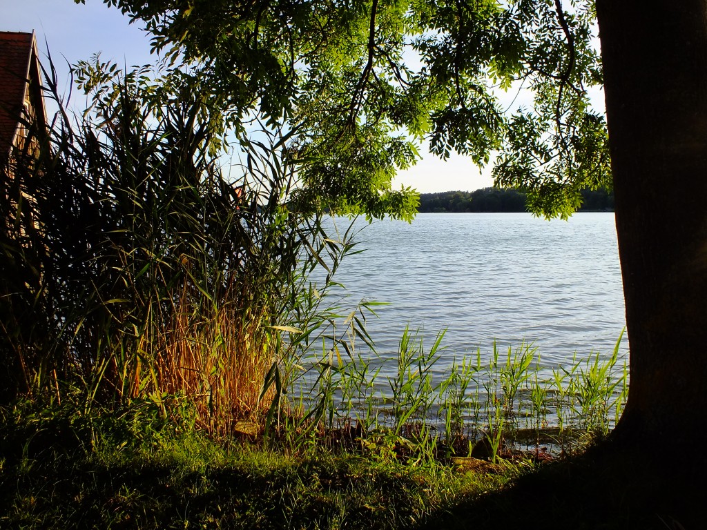 DSCF7433.jpg
