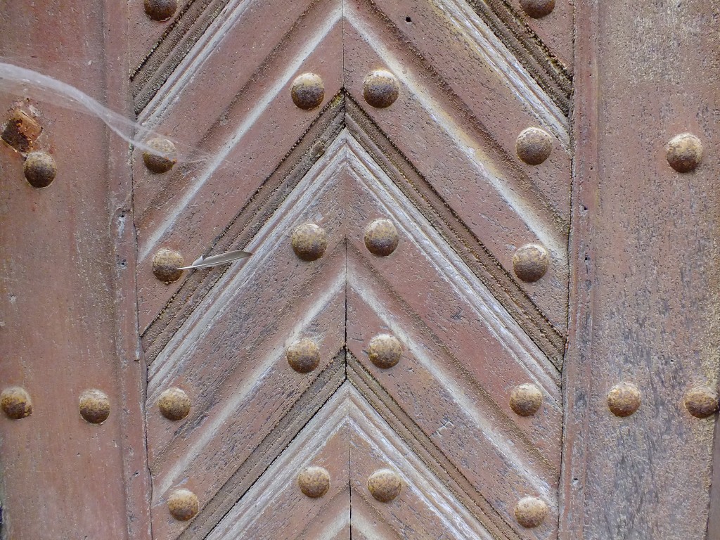 DSCF7482.jpg