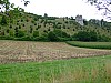 DSCF6469.jpg