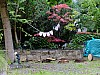 DSCF7356.jpg
