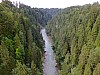 DSCF7402.jpg
