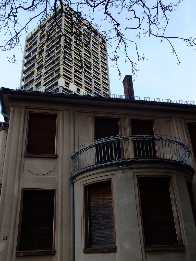 DSCF5353.jpg
