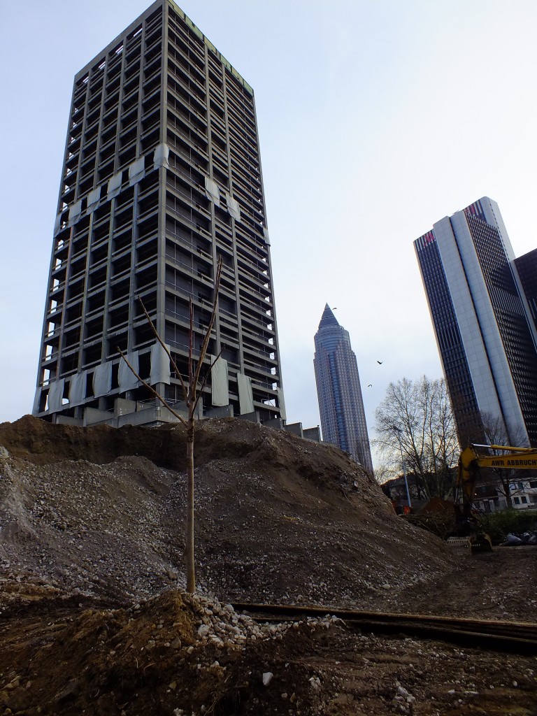 DSCF5381.jpg