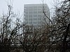 DSCF5464.jpg