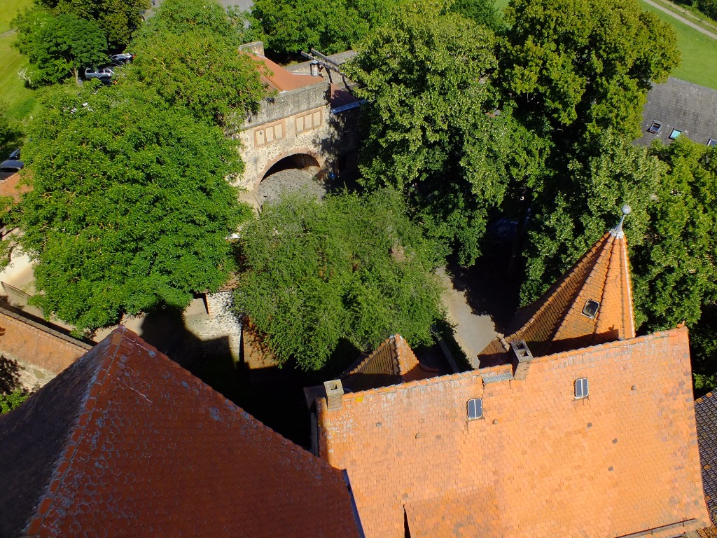 DSCF7124.jpg