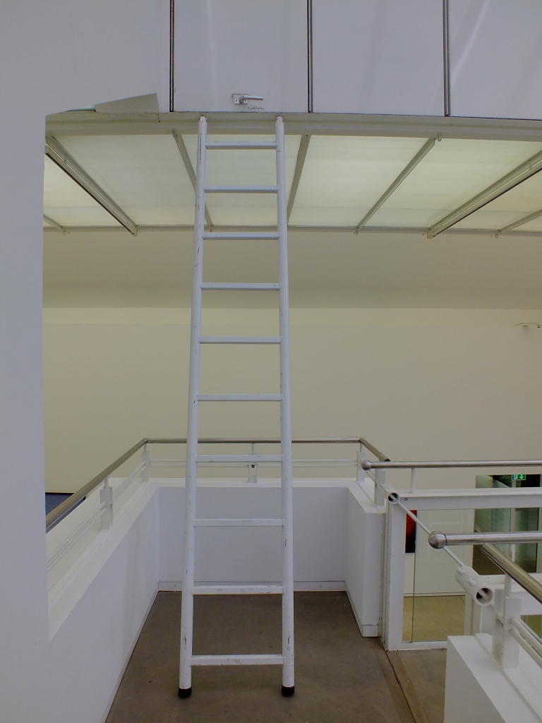 DSCF8488.jpg