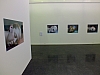 DSCF8435.jpg