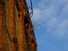 DSCF8470.jpg