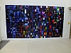 DSCF8492.jpg