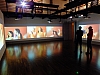 DSCF8500.jpg