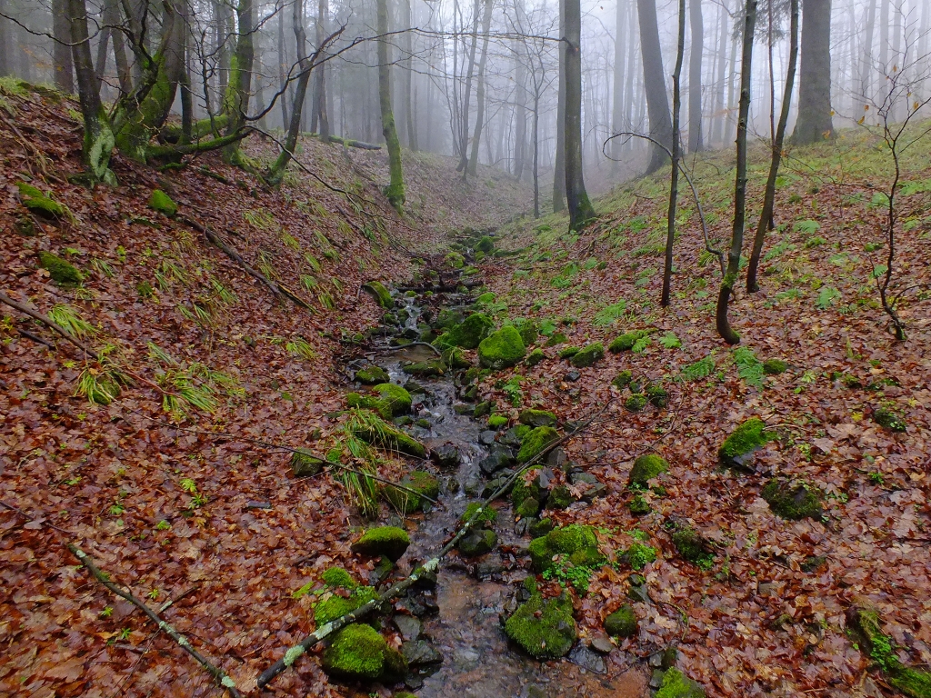DSCF8598.jpg