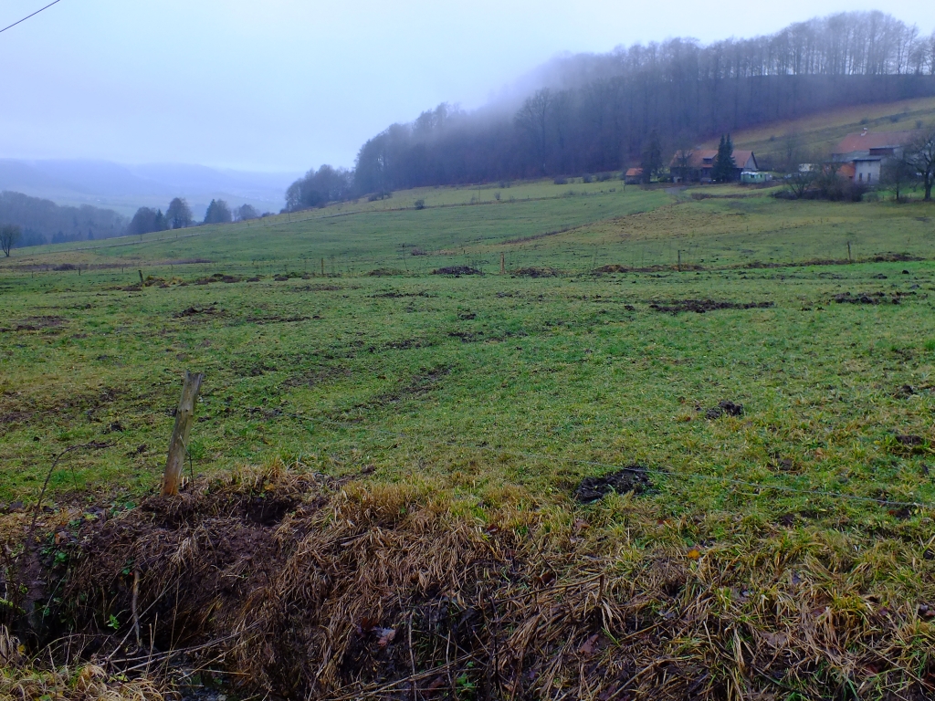 DSCF8599.jpg