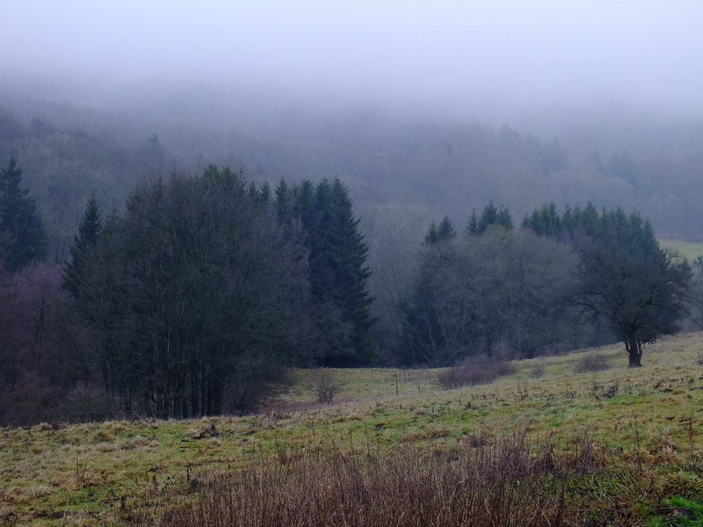 DSCF8612.jpg