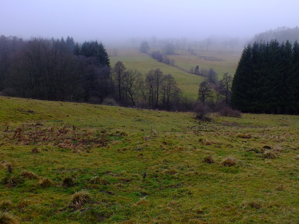 DSCF8613.jpg