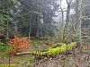 DSCF8583.jpg