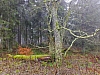 DSCF8584.jpg