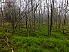 DSCF8589.jpg