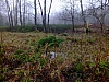 DSCF8590.jpg