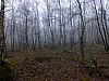 DSCF8592.jpg
