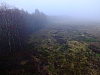 DSCF8595.jpg