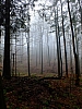 DSCF8597.jpg