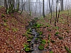 DSCF8598.jpg