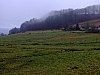 DSCF8600.jpg