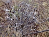 DSCF8609.jpg