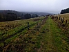 DSCF8611.jpg