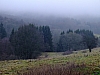 DSCF8612.jpg