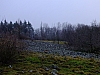 DSCF8623.jpg