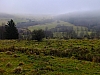 DSCF8624.jpg