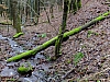 DSCF8628.jpg