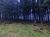 DSCF8633.jpg