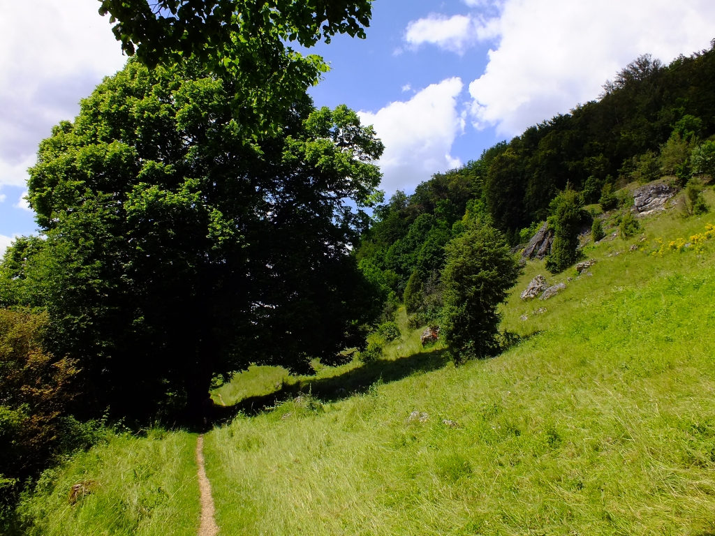 DSCF9360.jpg