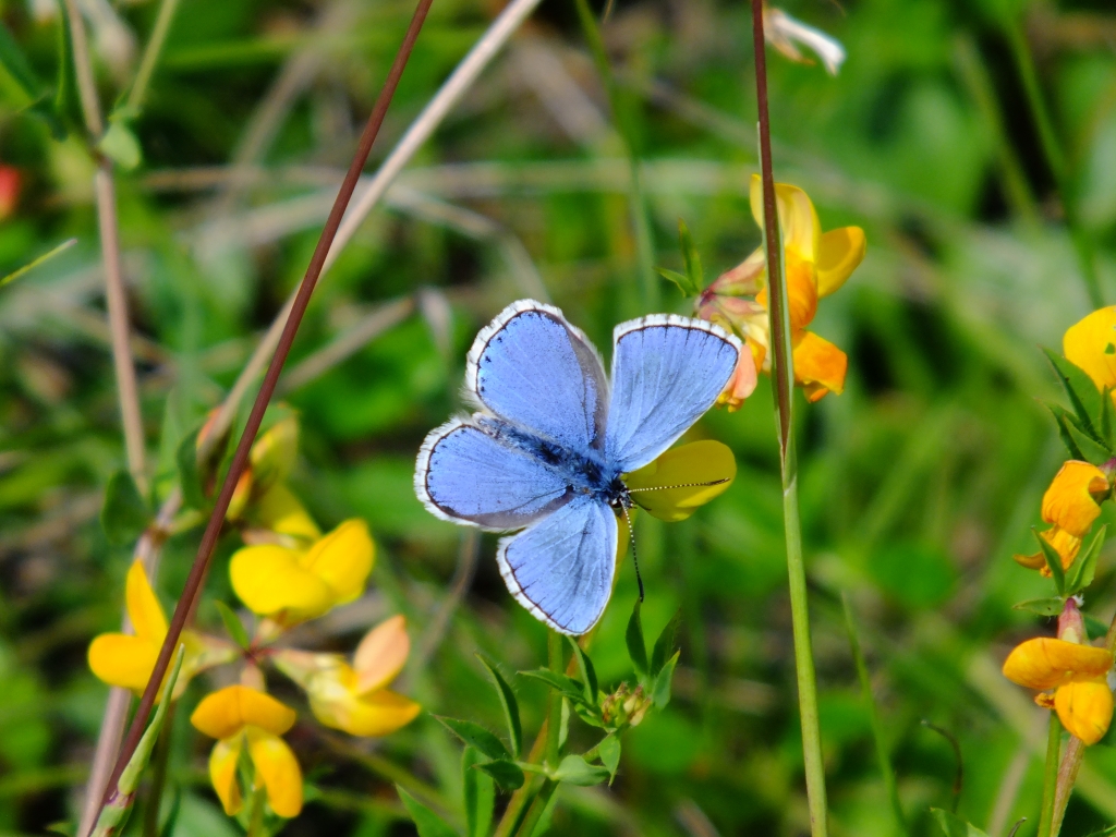 DSCF9369.jpg