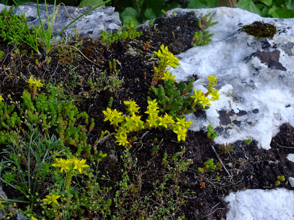 DSCF9377.jpg