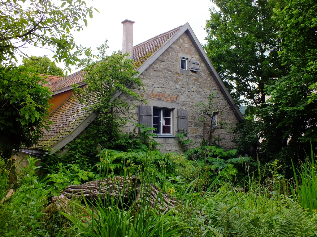 DSCF9380.jpg