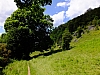 DSCF9360.jpg