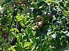 DSCF9376.jpg