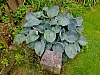 DSCF9382.jpg
