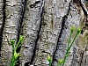 DSCF9390.jpg
