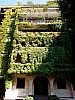 IMG_20160907_152020.jpg