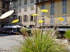 IMG_20160909_134723.jpg
