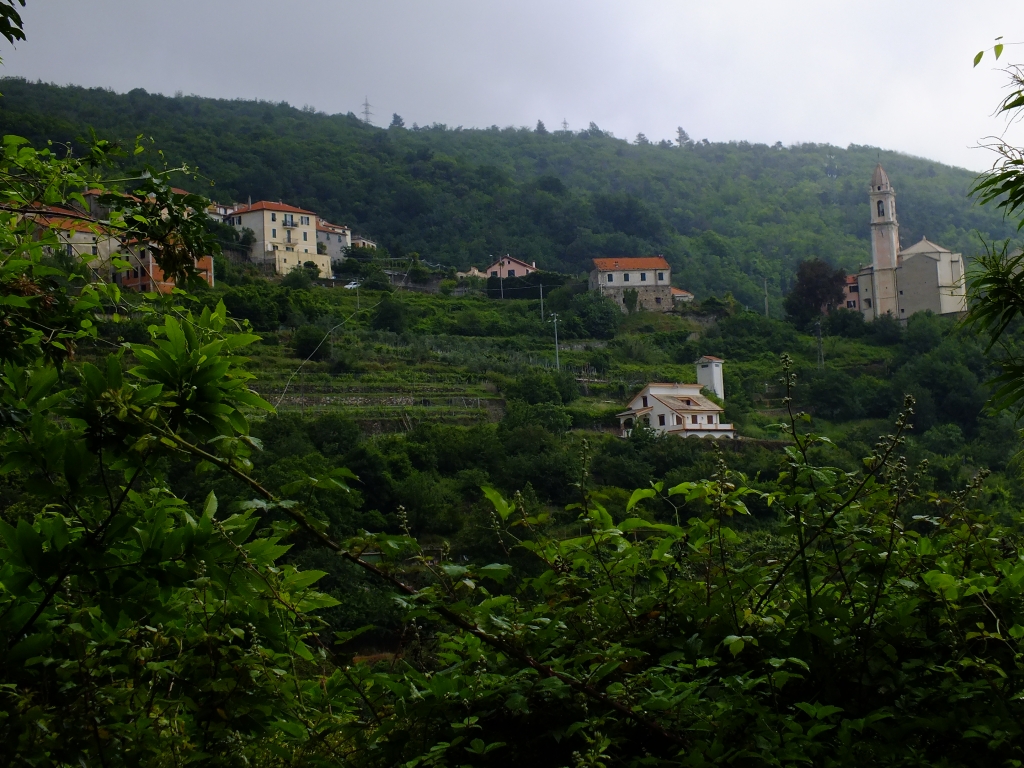 DSCF9031.jpg