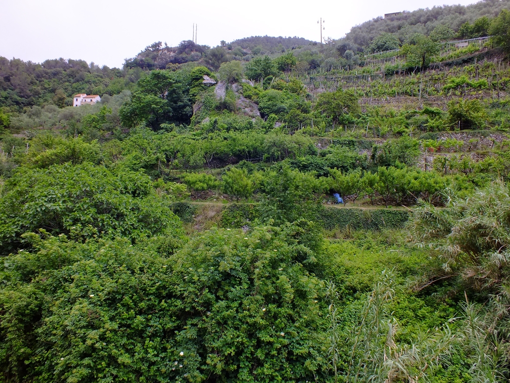 DSCF9070.jpg