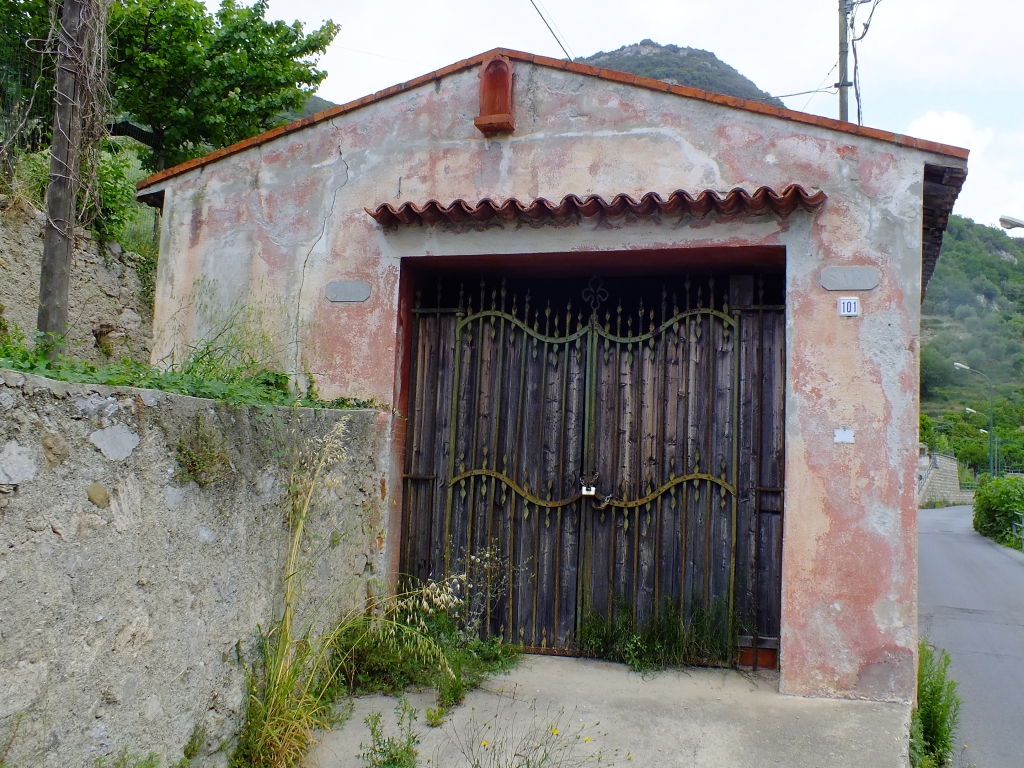 DSCF9076.jpg